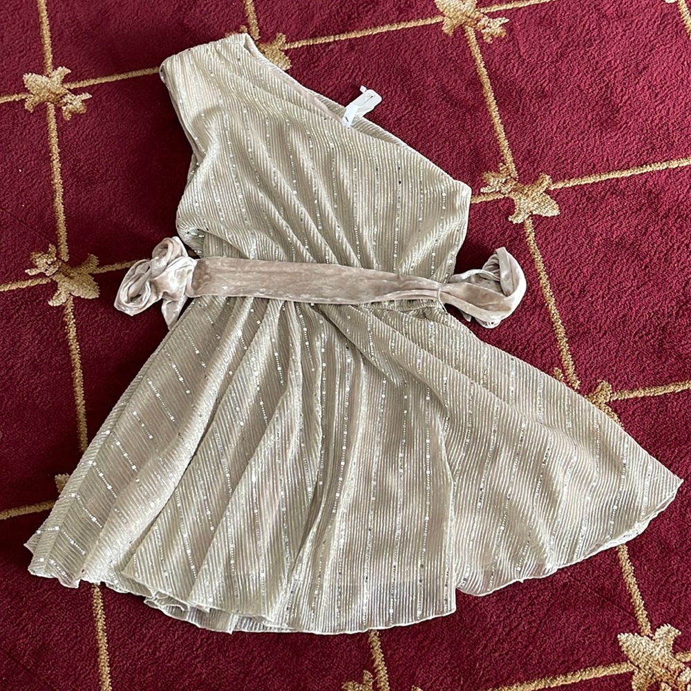 Beautiful NWT mini dress